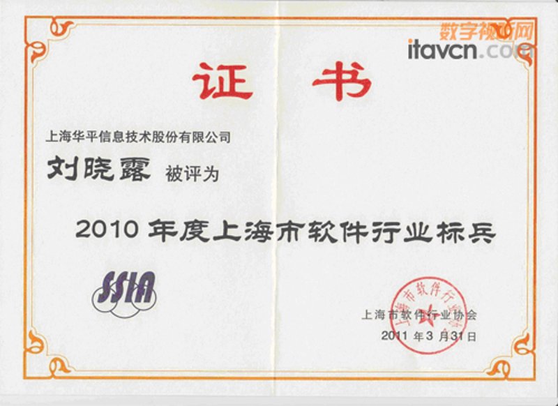 上海软件开发行业：创新与挑战同行